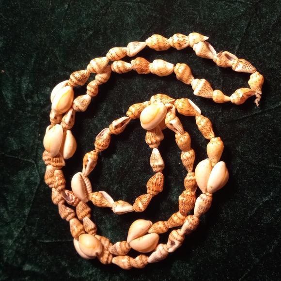 F-22 Sea Shell necklace lot - Picture 6 of 6